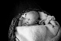 Logan's Newborn Photo's